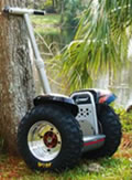 XT model
